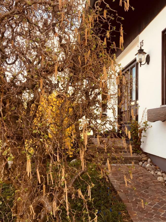 Hegau-Lounge-Bodensee Muhlhausen-Ehingen Buitenkant foto